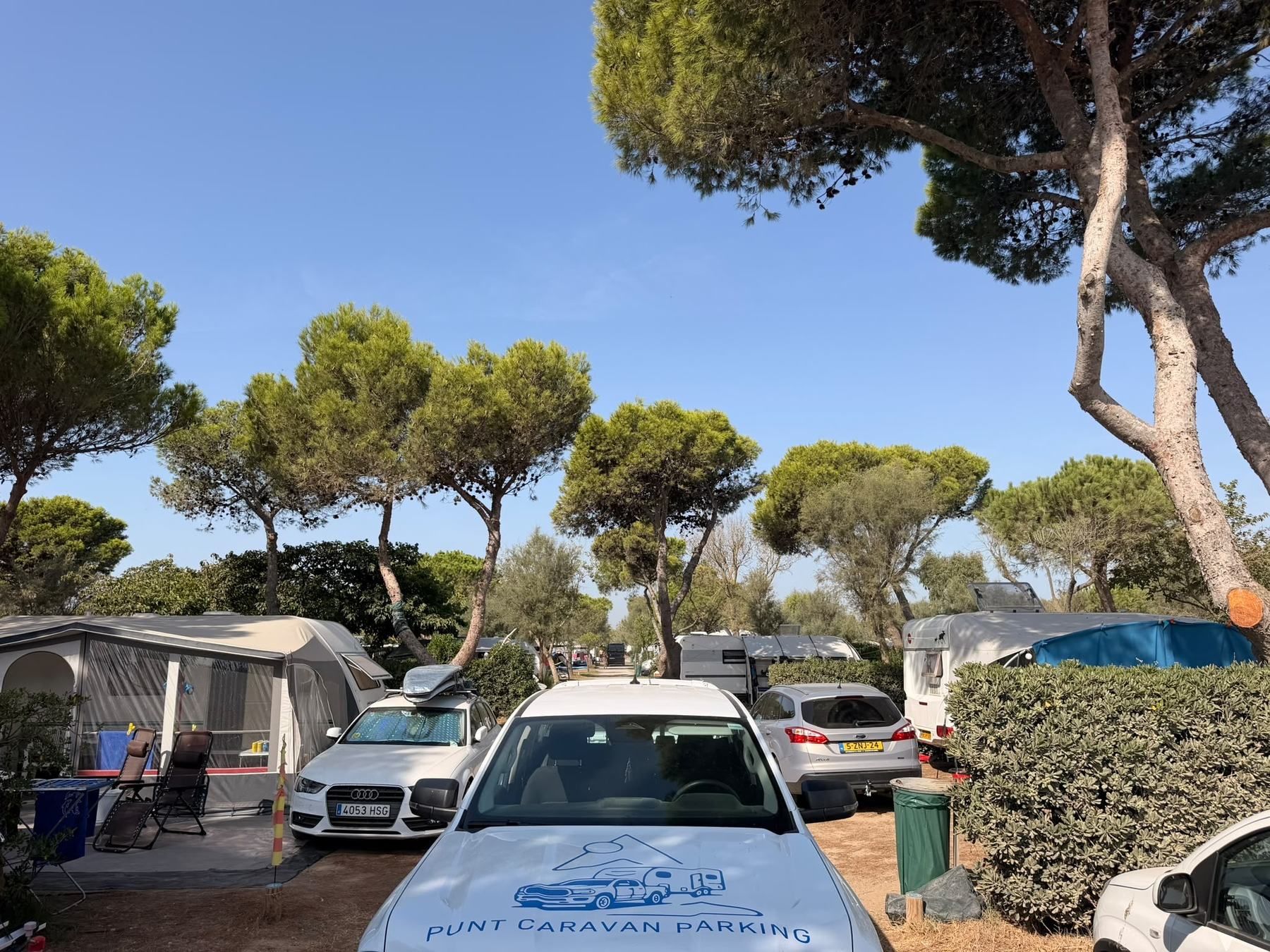 View over the bonnet of the Punt pickup on a campsite among pine trees